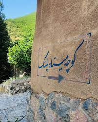 ماموریت جهانی برای «مینا و پلنگ»